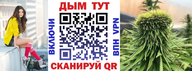 мега как зайти  Яхрома  Конопля план 